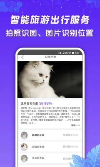 ݸ־app v1.0.4