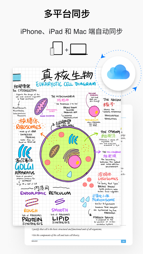 GoodNotes 5İ