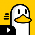 小鸭子视频 V1.0 安卓版