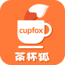 豭cupfox