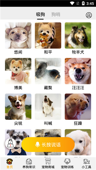 狗语翻译器 V1.0.5 安卓版