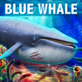 深海蓝鲸模拟