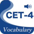 CET4ѡʻ V3.1.1 ׿