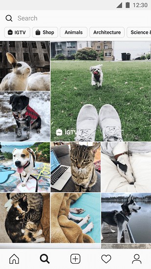 instagram V1.0 ٷ°