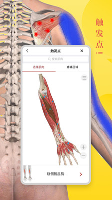 3dbodyѧ V8.3.40 ٷ