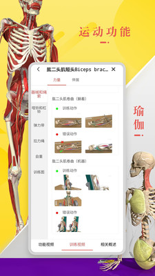 3dbodyѧ V8.3.40 ٷ