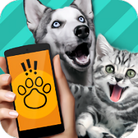 pettranslator V1.1 ׿