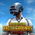 pubg V0.14.5.29 ʷ