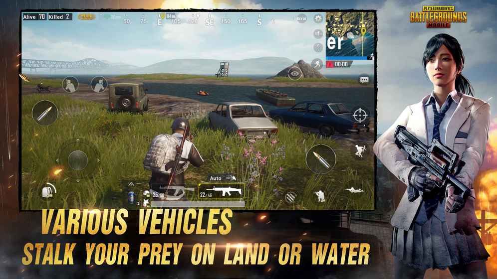 pubgmobile V0.21.0 