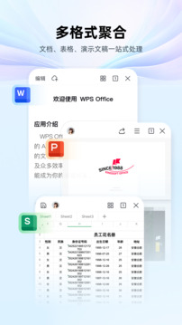 WPSOffice V18.5.4 ߼Ա